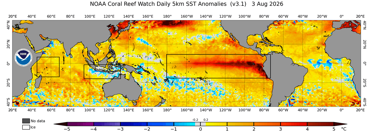 atmosphere-winter-united-states-canada-cold-positive-iod-latest-global-ocean-anomaly-august-analysis-super-el-nino