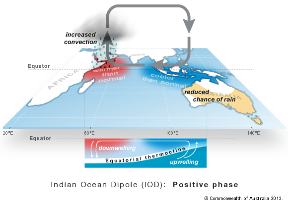 iod-positive