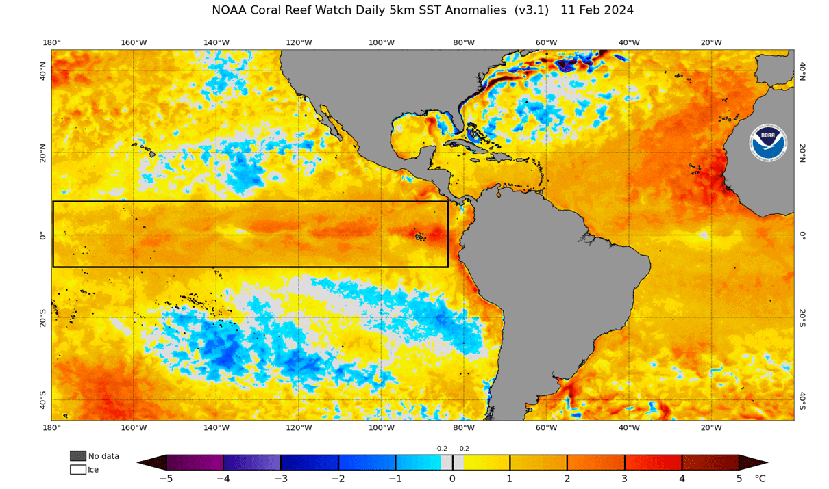 el-nino-breakdown-weather-forecast-ocean-surface-temperature-anomaly-pacific-united-states-analysis-february-data