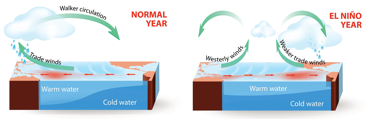 el-nino-forecast-2026-velocity-potential-atmospheric-circulation-impact-summer-united-states-canada-weather-walker-cell-schematic