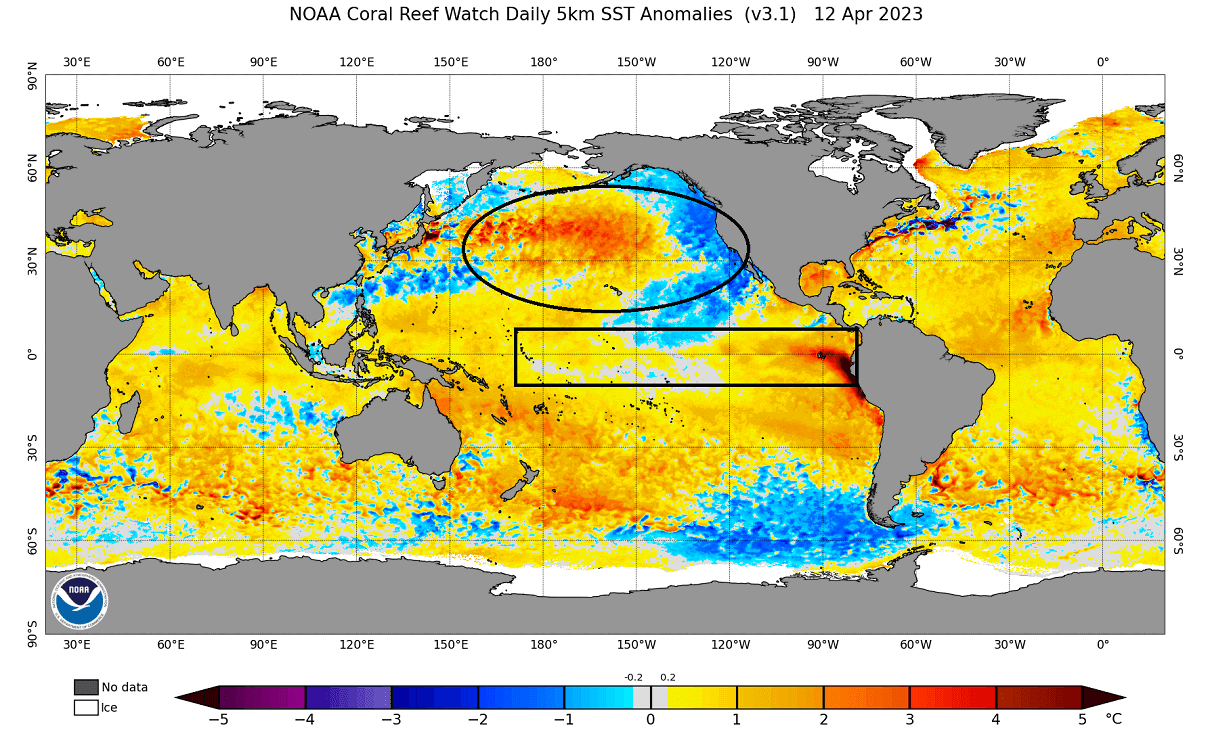 el-nino-watch-weather-forecast-global-sea-surface-ocean-temperature-anomaly-united-states-analysis-april-data