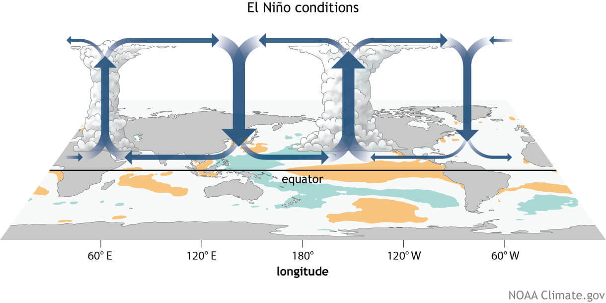 el-nino-weather-forecast-united-states-enso-circulation-pressure-pattern-atmospheric-response-hadley-cell-circulation