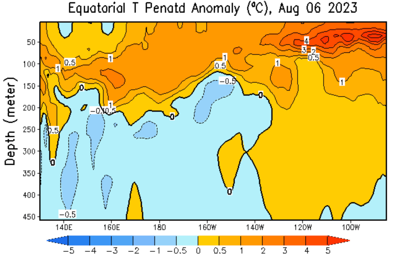enso-region-el-nino-watch-weather-season-ocean-temperature-anomaly-by-depth-latest-analysis-warming-august-subsurface-data