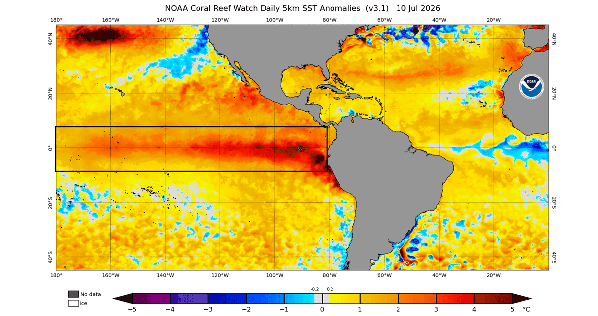 enso-region-sea-surface-temperature-anomaly-analysis-forecast-autumn-fall-super-el-nino-impact