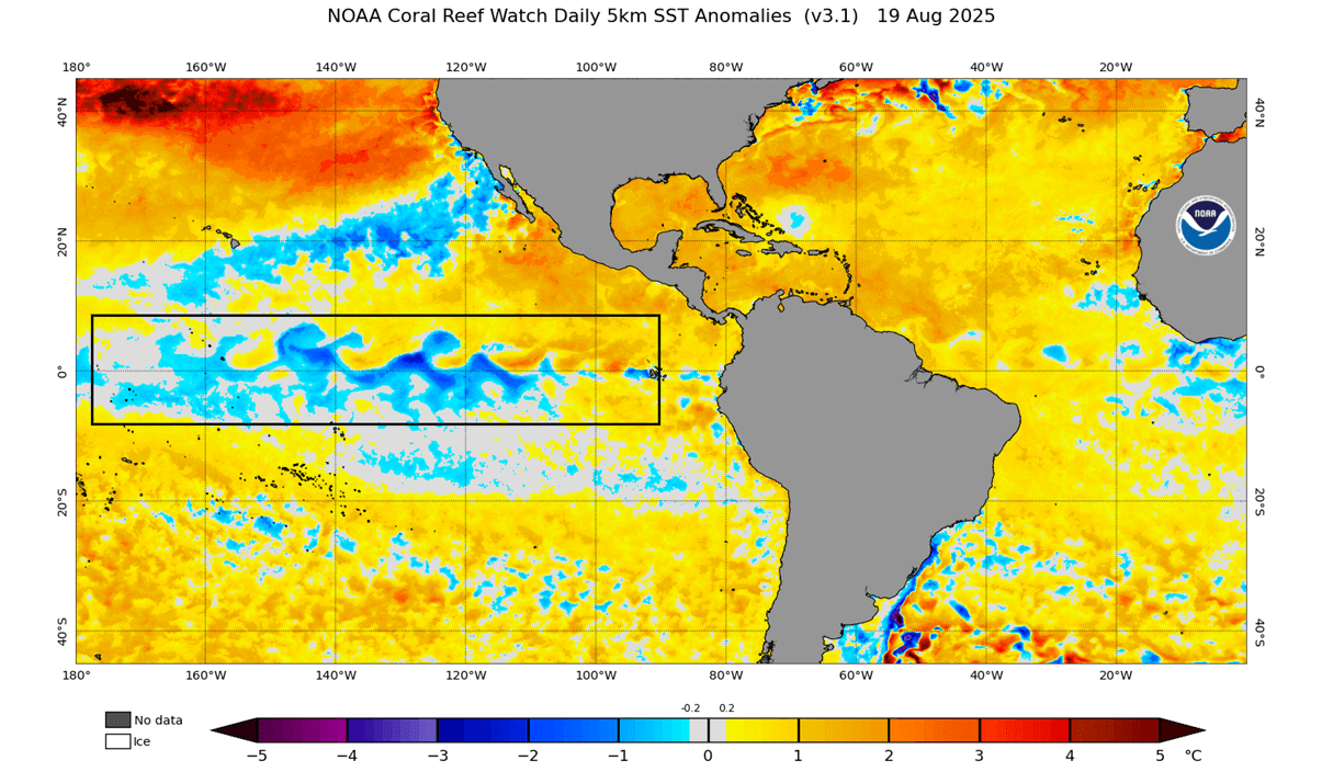 enso-region-sea-surface-temperature-anomaly-analysis-la-nina-fall-cooling-update