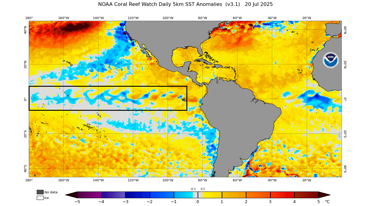 enso-region-sea-surface-temperature-anomaly-early-fall-seasonal-forecast-la-nina-developing