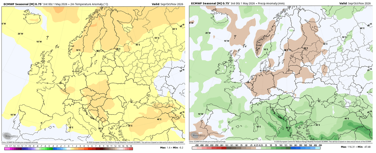 fall-2026-first-forecast-temperature-precipitation-anomaly-ecmwf-europe-ecmwf-ensemble