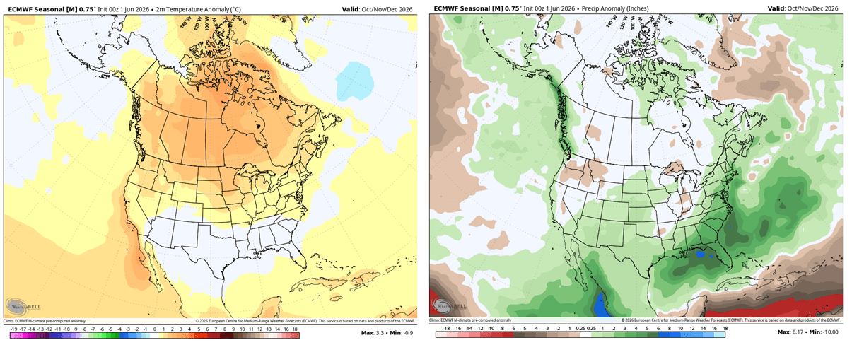 fall-2026-first-full-forecast-temperature-precipitation-anomaly-ecmwf-ensemble