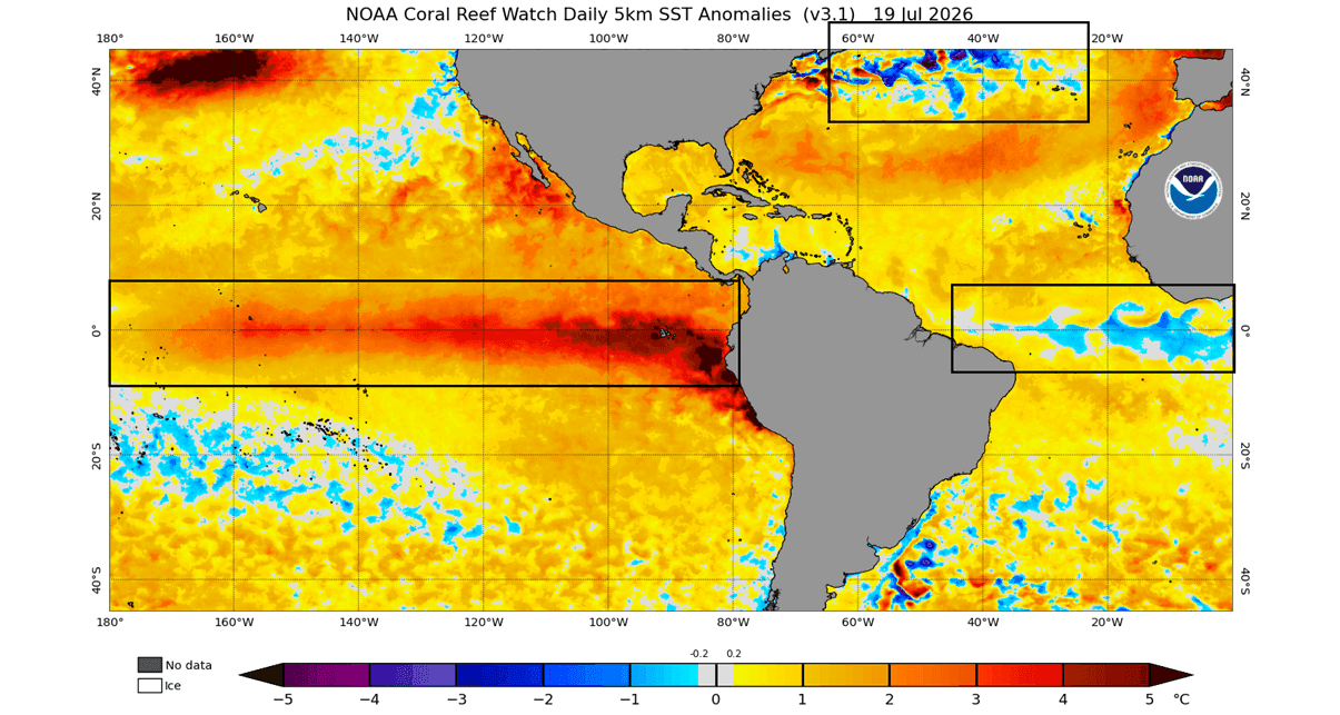 global-sea-surface-ocean-temperature-anomaly-united-states-north-america-analysis-latest-update-late-july
