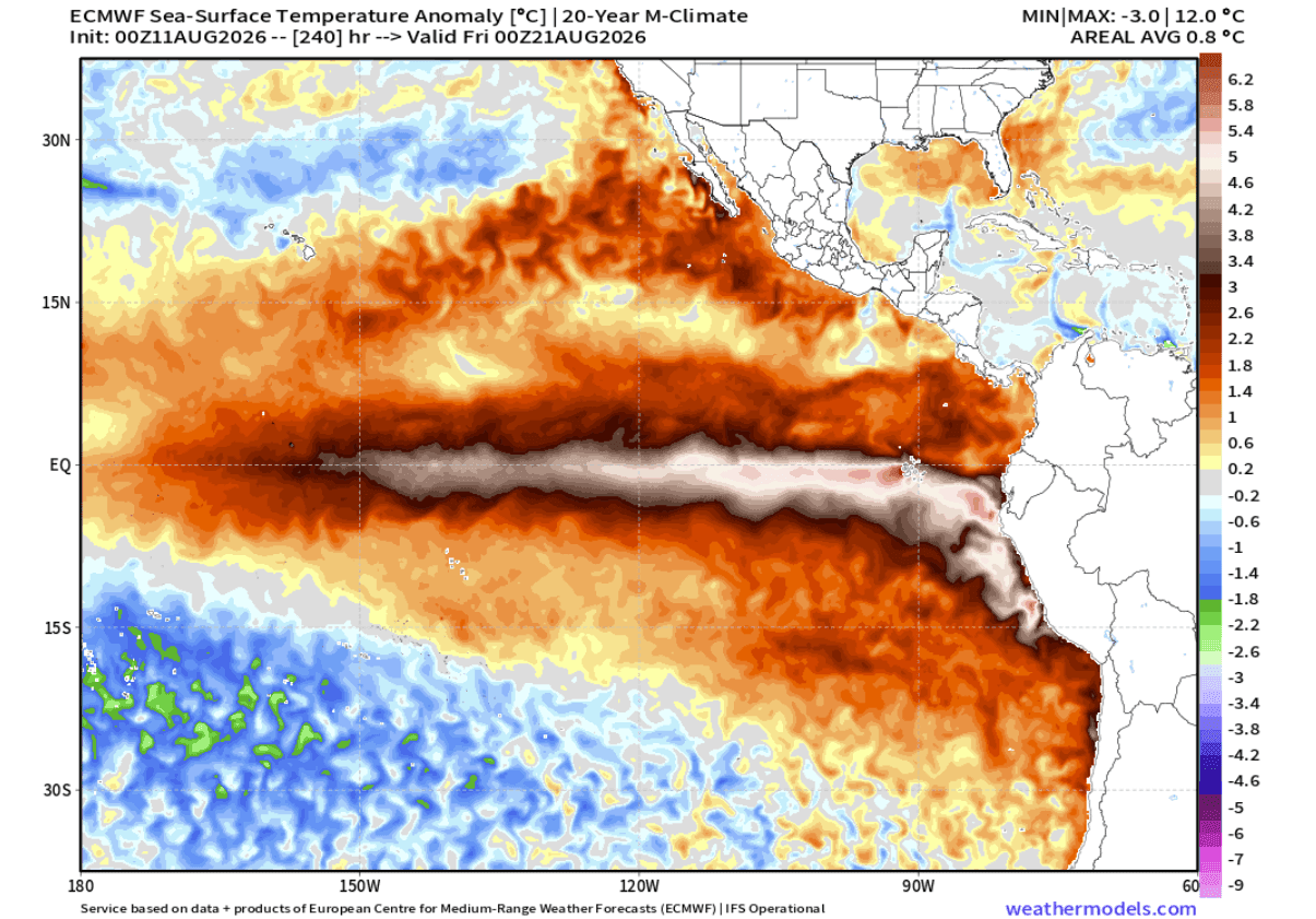 global-sea-surface-ocean-temperature-anomaly-united-states-north-america-ecmwf-10-day-forecast-latest-update-mid-august