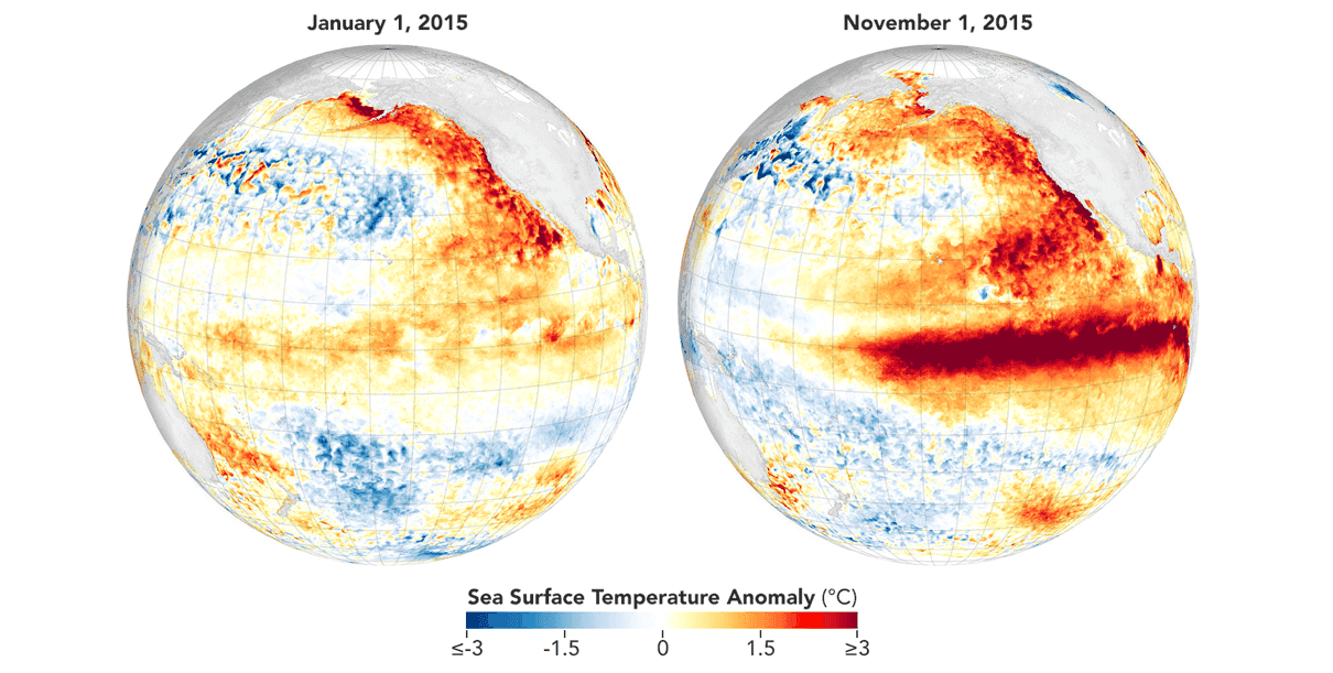 last-super-el-nino-winter-phase-ocean-surface-temperature-anomaly-comparison-pacific-north-america-atmospheric-influence