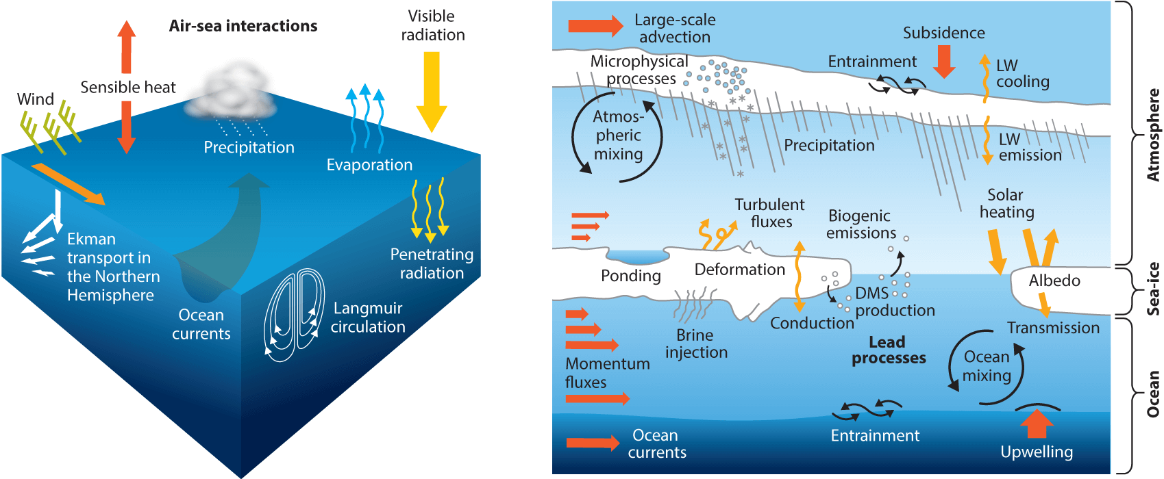 ocean-weather-anomaly-impact-united-states-canada-seasonal-winter-2023-2024-atmosphere-interaction-forecast