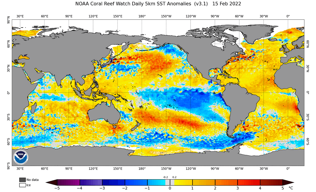 spring-season-long-range-forecast-2022-global-ocean-surface-temperature-anomaly-february