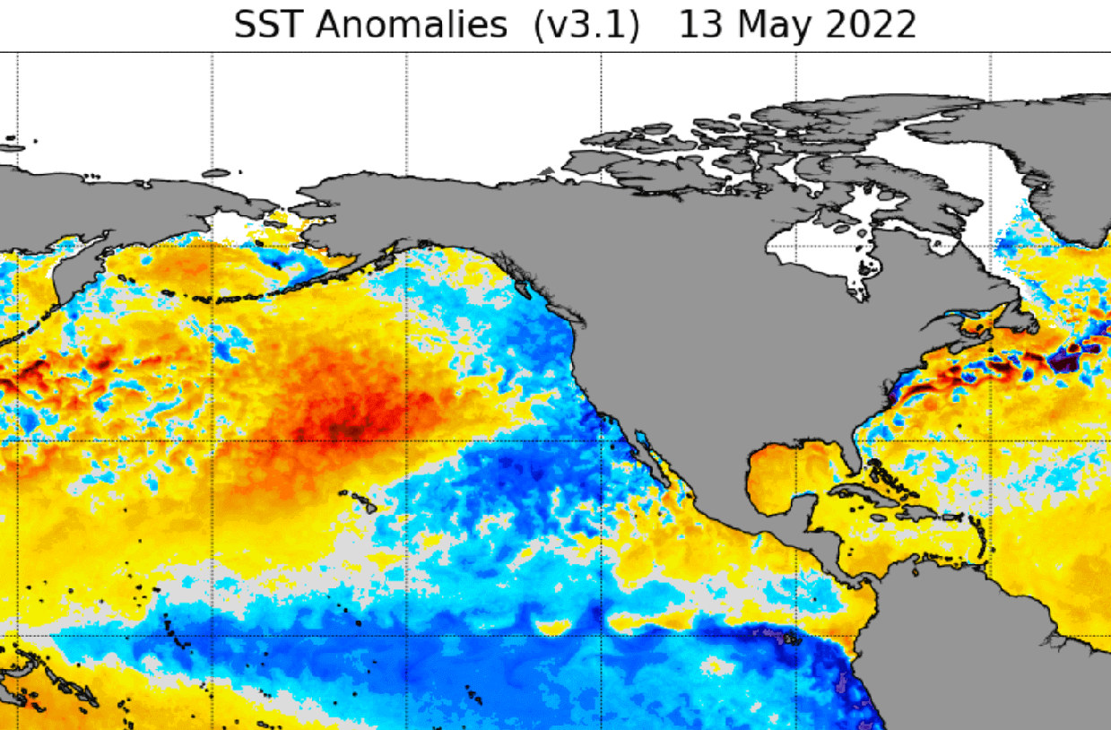 summer-forecast-update-weather-ocean-temperature-anomaly-analysis-north-america