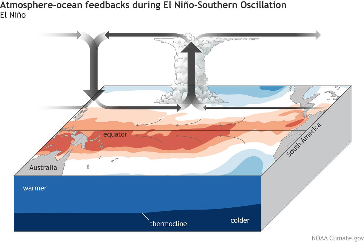 super-el-nino-ocean-surface-temperature-anomaly-pacific-north-america-weather-change-atmospheric-bridge-walker-circulation-fall-winter