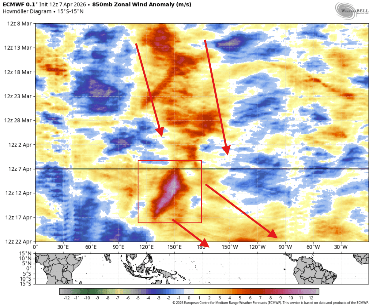 trade-winds-forecast-april-ecmwf-north-america-pacific-strong-westerly-wind-burst-2026-el-nino-building