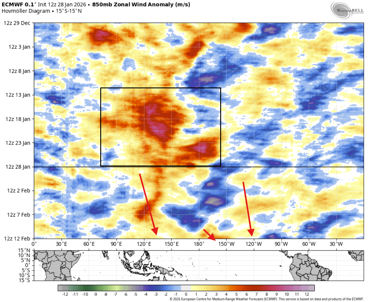 trade-winds-forecast-february-ecmwf-north-america-pacific-westerly-wind-burst-2026-la-nina-breakdown