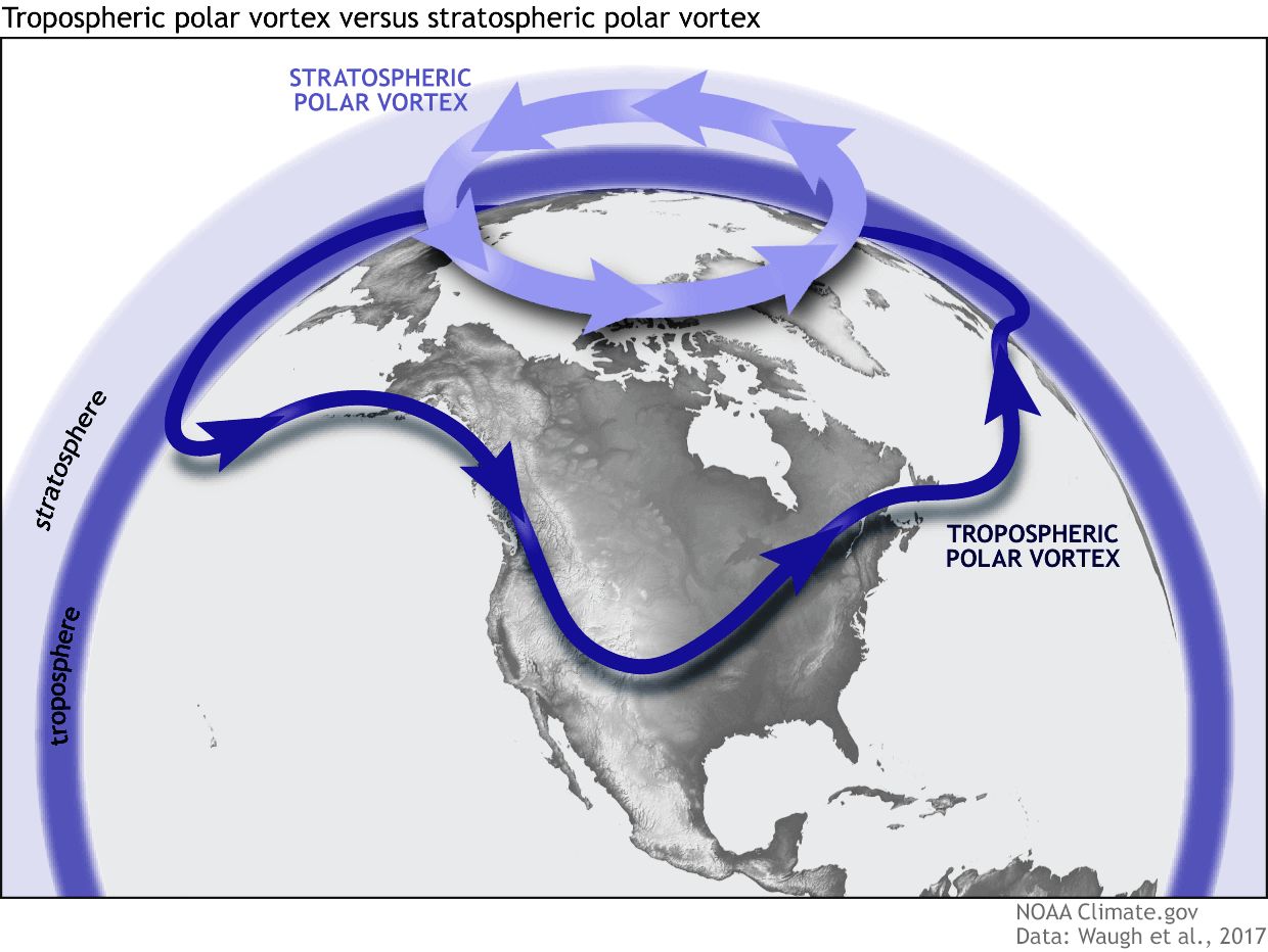 what-is-polar-vortex-stratospheric-tropospheric-north-hemisphere-winter-weather-forecast-pattern-snowfall-cold-warm-united-states-canada