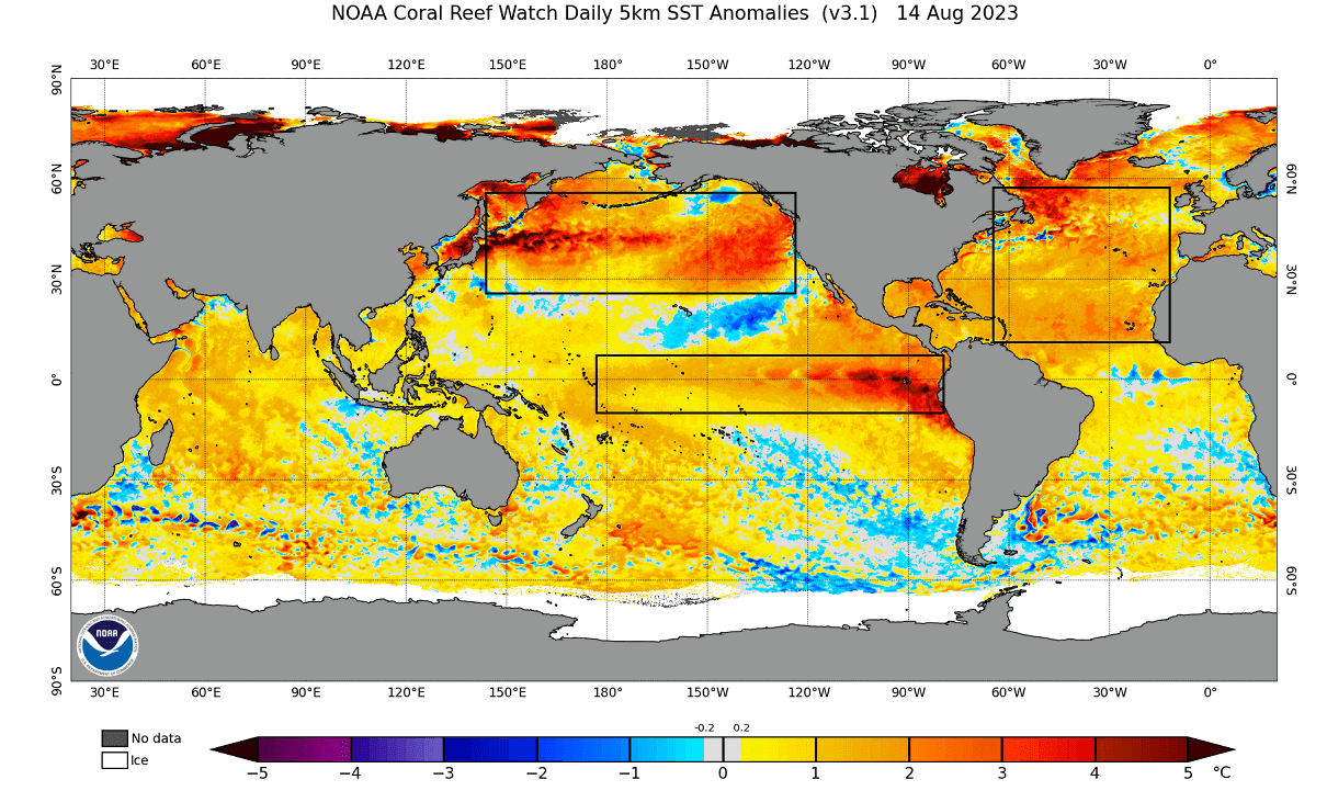 winter-forecast-2023-2024-global-sea-surface-temperature-anomaly-analysis-united-states-canada-europe-el-nino