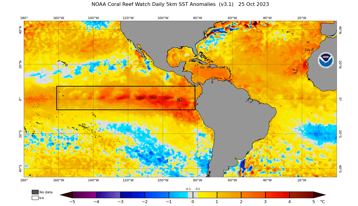 winter-forecast-2023-2024-november-update-sea-surface-temperature-anomaly-analysis-pacific-region-united-states-weather-effect