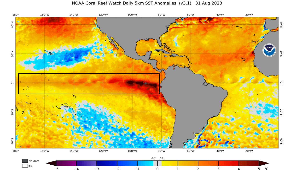 winter-forecast-2023-2024-sea-surface-temperature-anomaly-pacific-united-states-september-latest-analysis-noaa