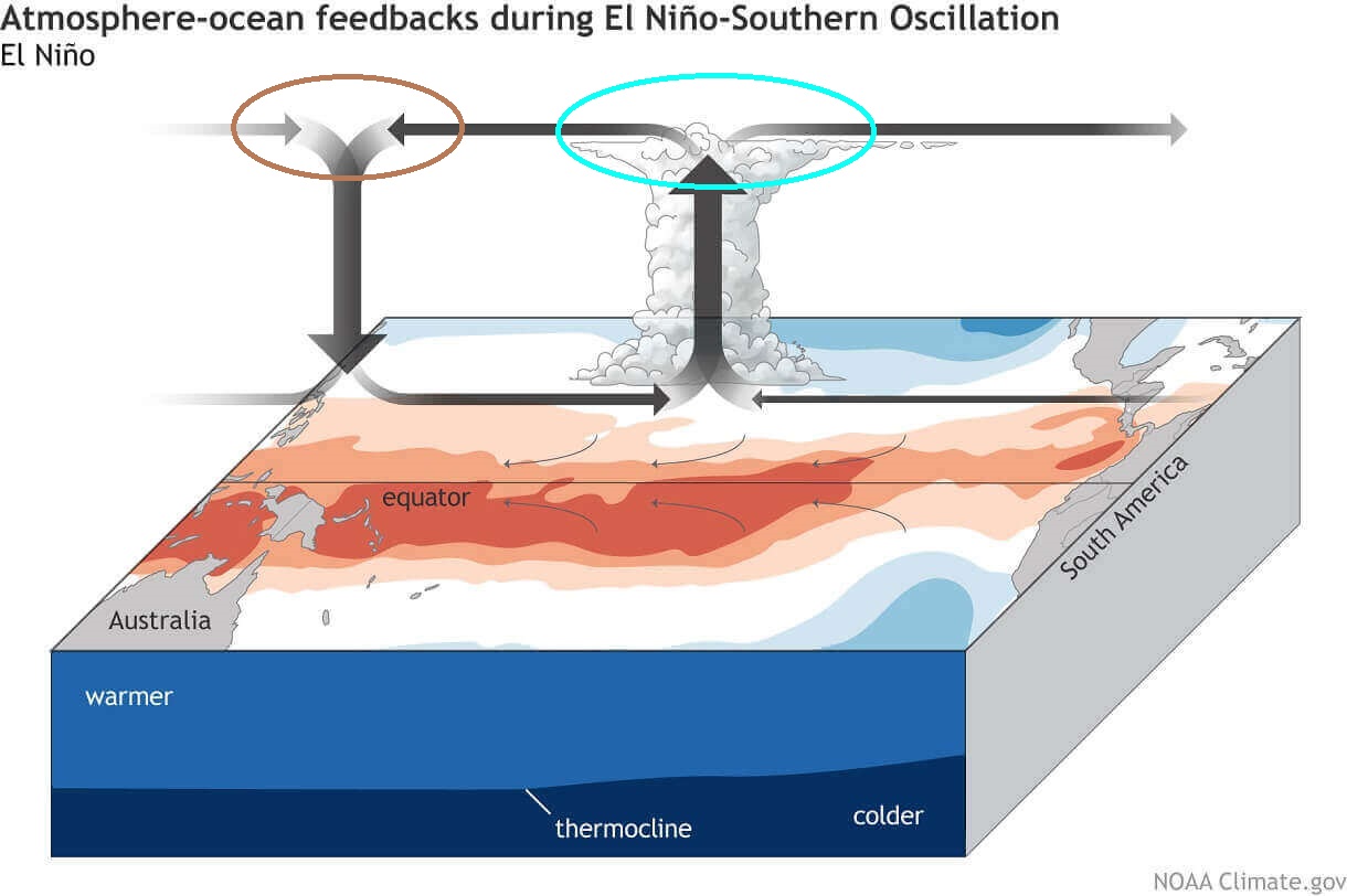 winter-forecast-2023-2024-united-states-enso-circulation-pressure-cloud-pattern-atmosphere-cold-winter-snowfall