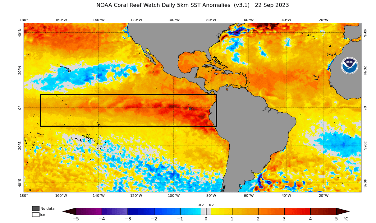 Winter 2023-2024: El Niño is back, but will this one be different?