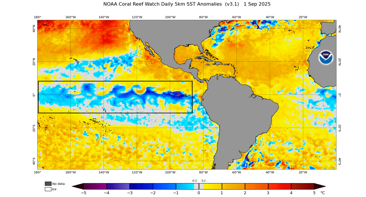 winter-snowfall-forecast-2025-2026-sea-surface-temperature-anomaly-pacific-united-states-analysis-snow-depth-predictions