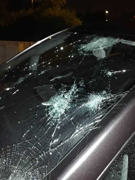 hailstorm-slovenia-cardamage