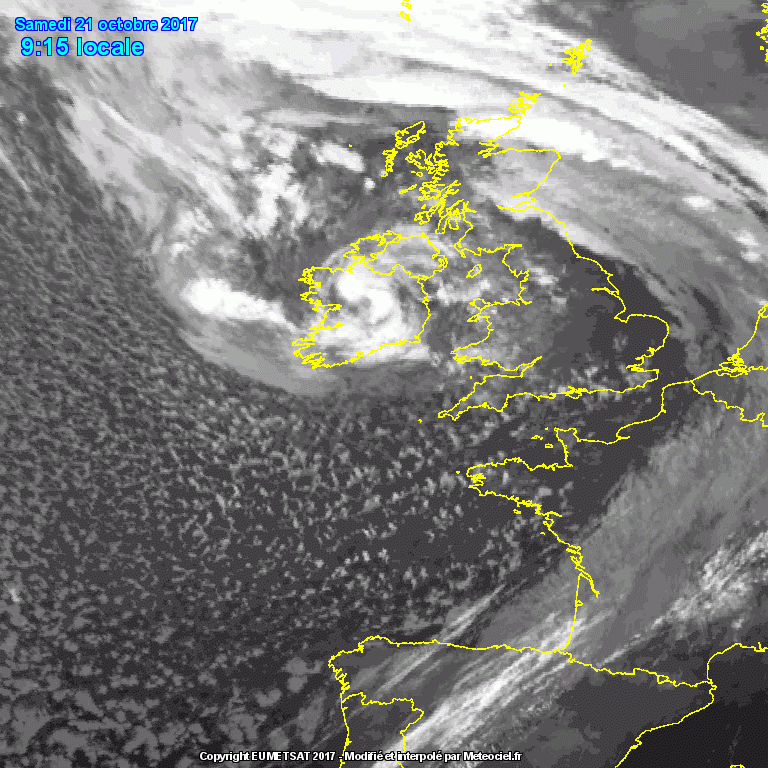 latest-ir-alt