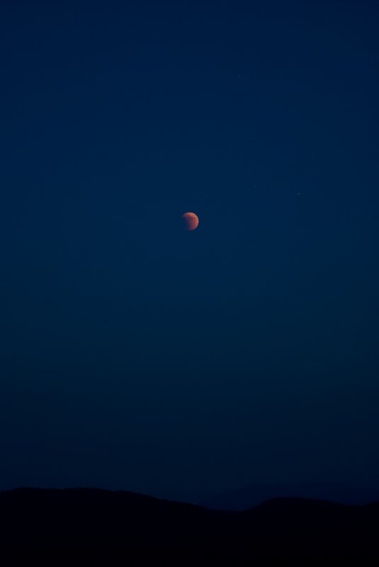 DSC_0217-1200