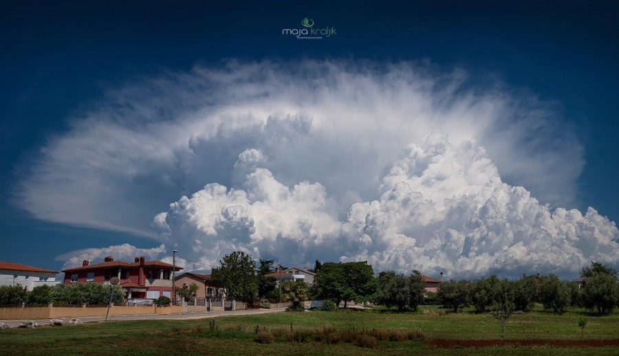 week33-01