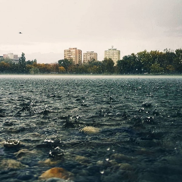 week49_06