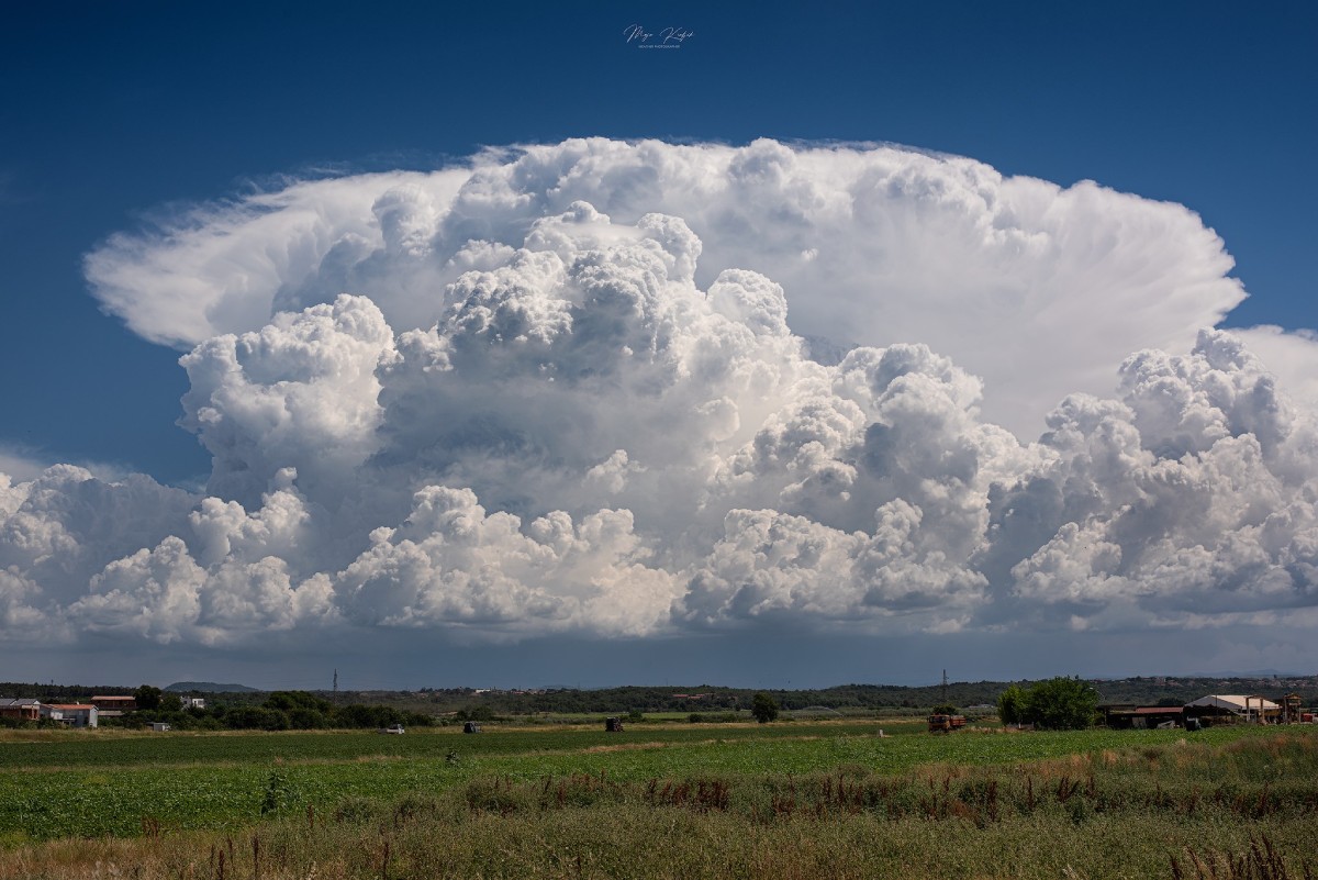 photo-contest-week-26-2021-maja-kraljik-updraft