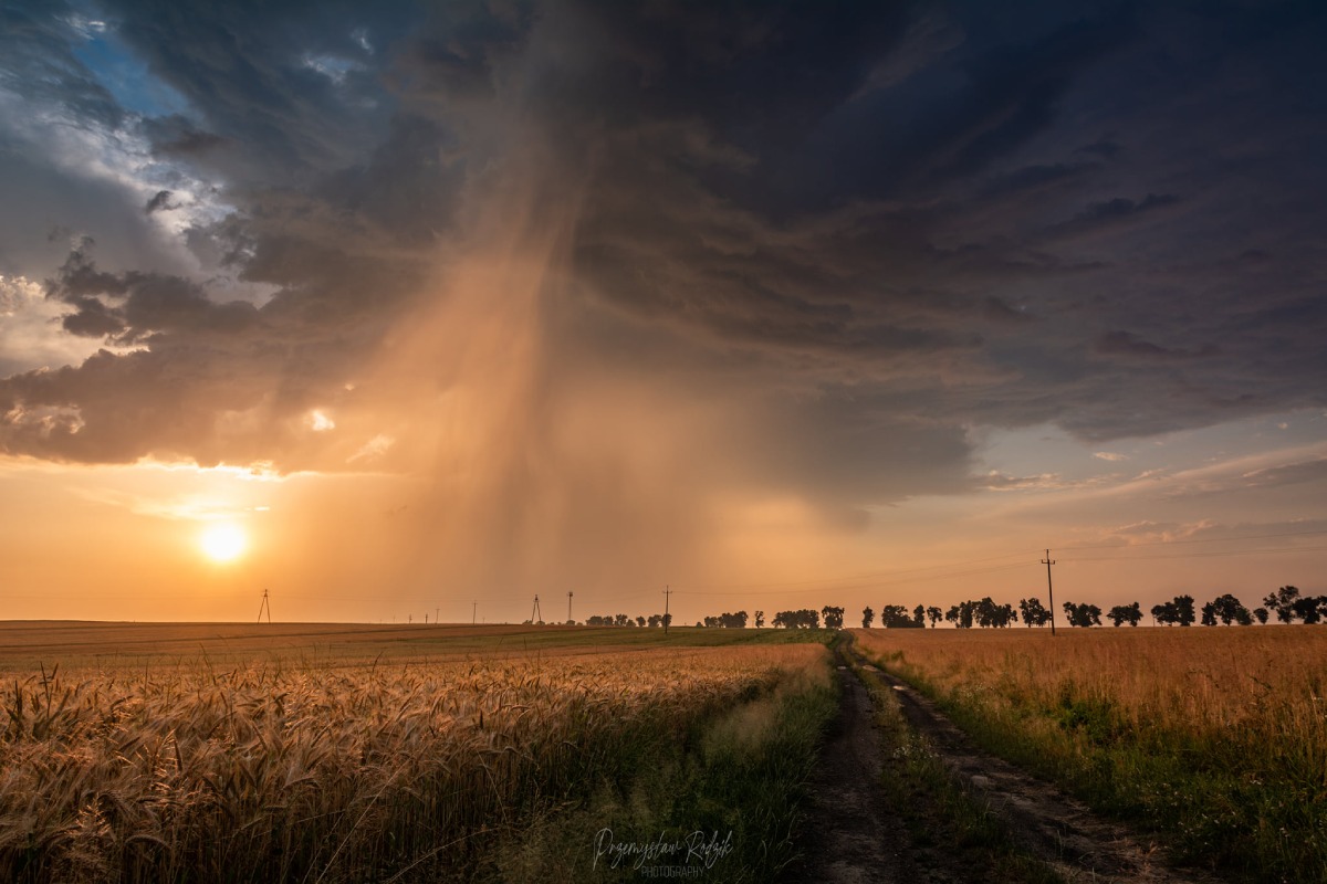 photo-contest-week-29-2021-Przemek-Rodzik-sc-leftmover