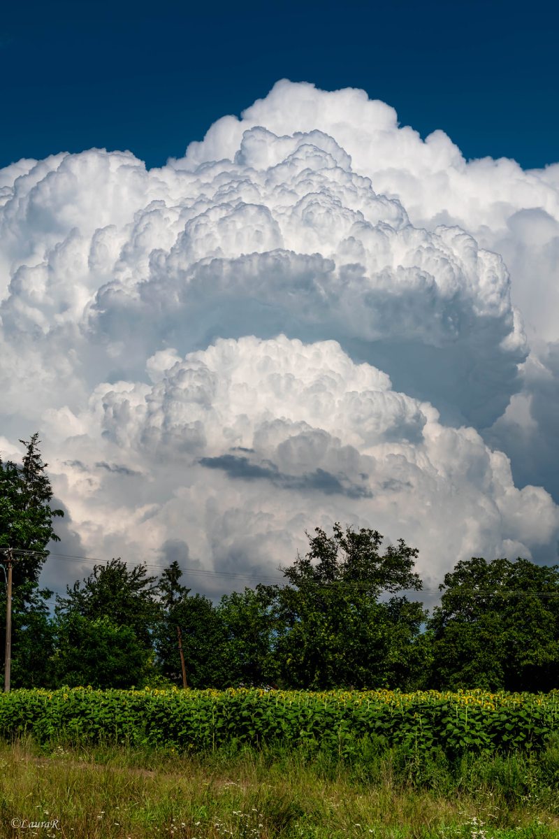 photo-contest-week-31-2021-Laura-Georgiana-Repciuc-updraft