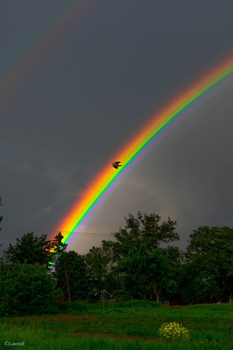 photo-contest-week-24-2021-laura-georgiana-repciuc-rainbow