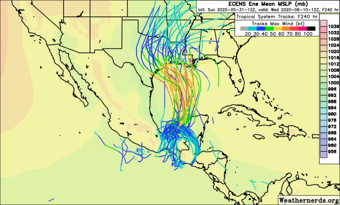 101269382_253787212373792_4042989682231869440_n
