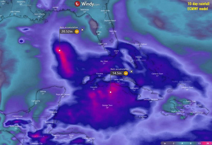 hurricane-season-florida-united-states-eta-rainfall