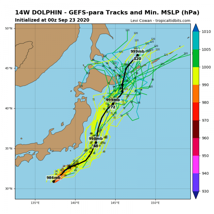 storm-dolphin-model-tracks