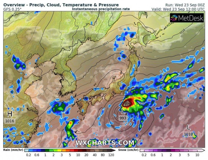 storm-dolphin-position-wednesday-night