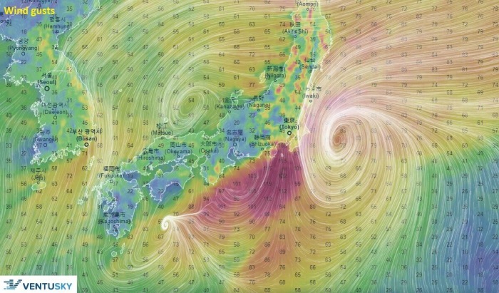 storm-dolphin-winds-Friday