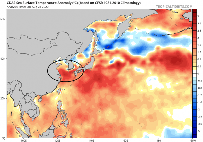 typhoon-bavi-sea-temperature-anomaly