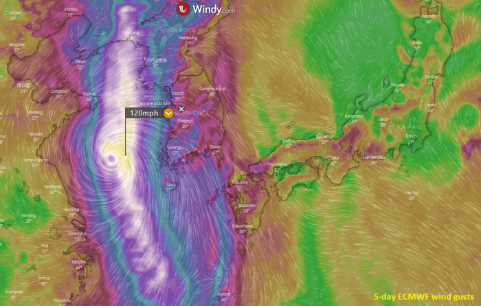 typhoon-bavi-wind-gusts
