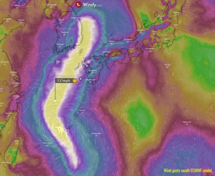 typhoon-maysak-wind-swath