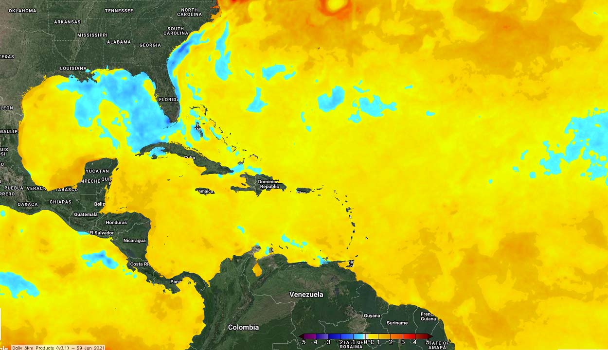 hurricane-season-2021-tropical-storm-elsa-caribbean-sea-temperature-anomaly
