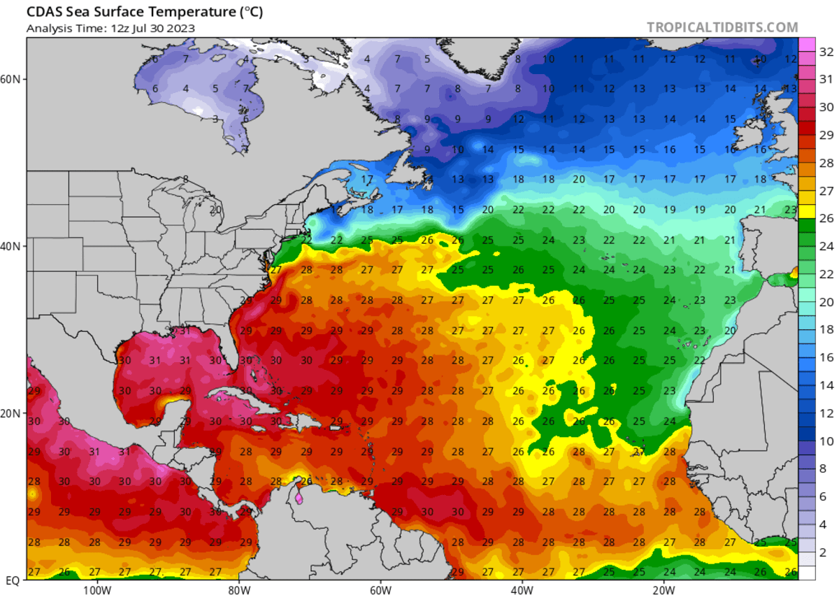 hurricane-season-2023-forecast-record-warm-north-atlantic-marine-heatwave-el-nino-current-temperature