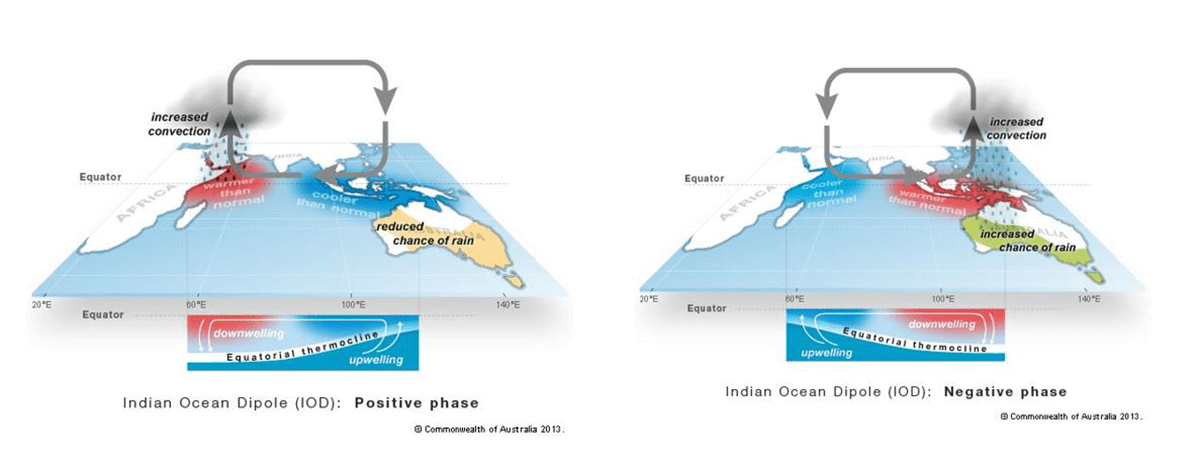 1_Formation-of-Positive-and-Negative-Indian-Ocean-Dipole-events