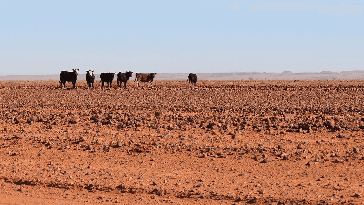 El-Nino-Drought_National-Museum-Australia