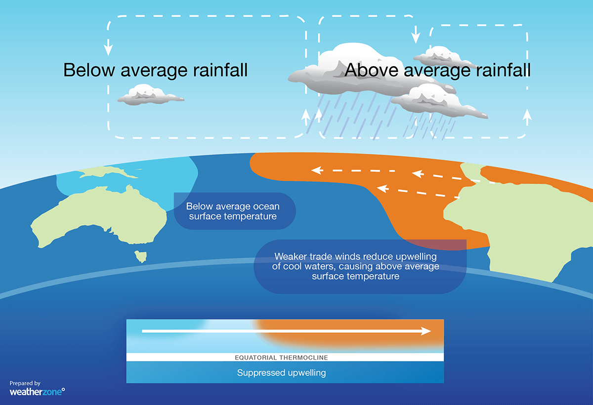 El-Nino-Typical-Ocean-Atmosphere-State_Weatherzone